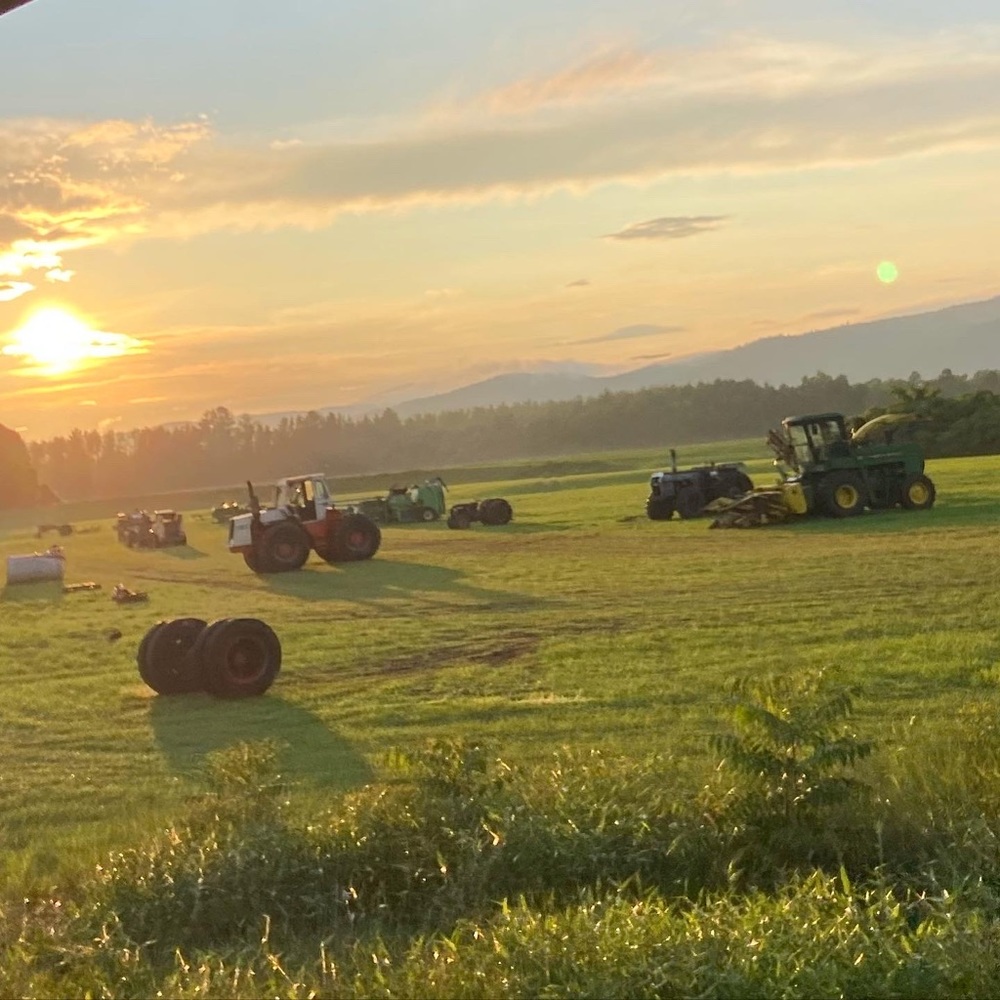 Meet your Posher, Lexi